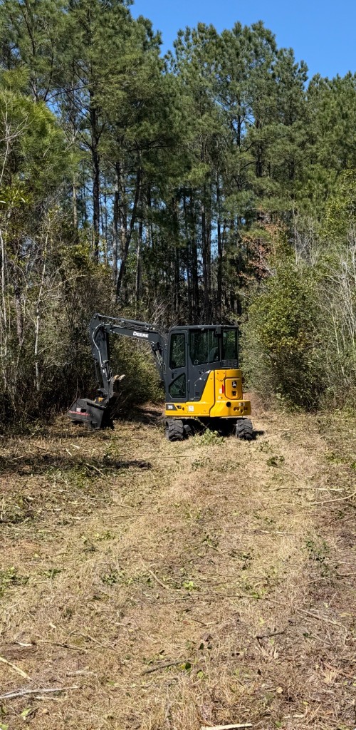 Compact excavator clearing brush in a stand of pines
