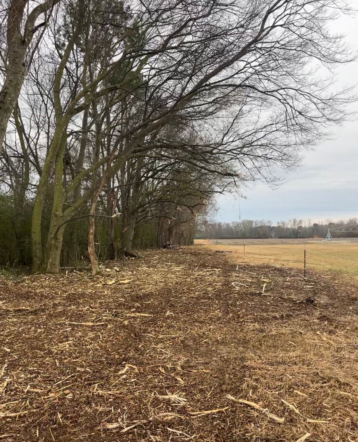 Cleared vegetation along the edge of a fenced field
